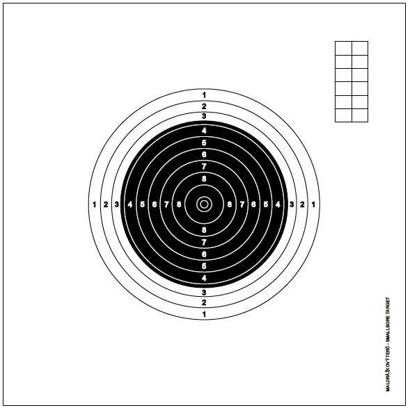 Terč medzinárodný malorážkový