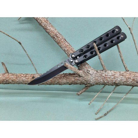 Motýlik Kandar K581